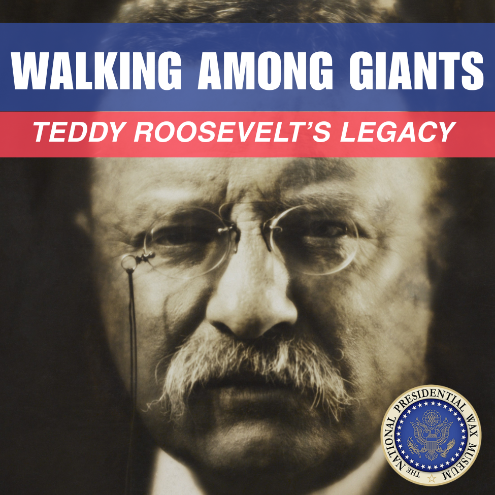 Teddy Roosevelt's Legacy
